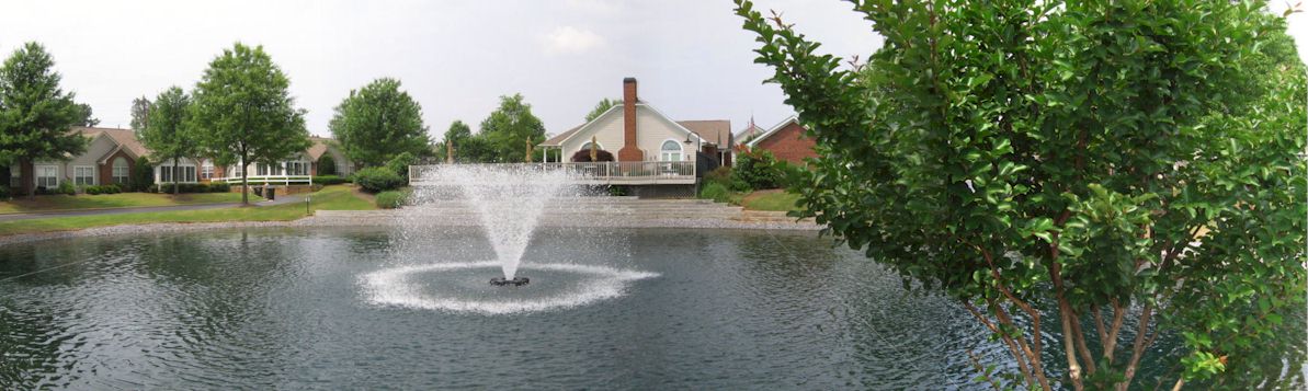 View From Lower Pond